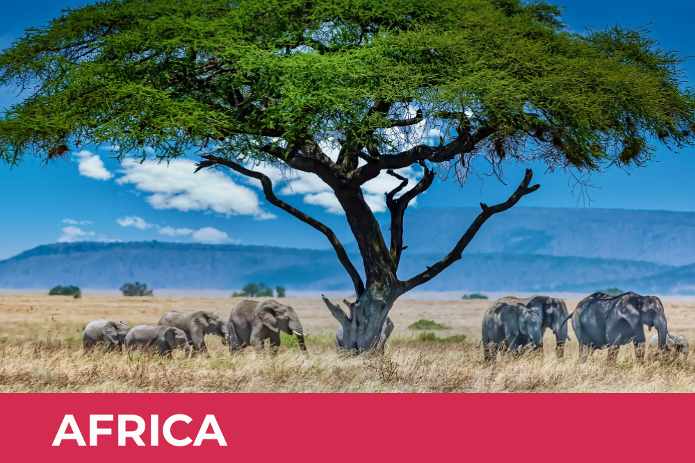 africa